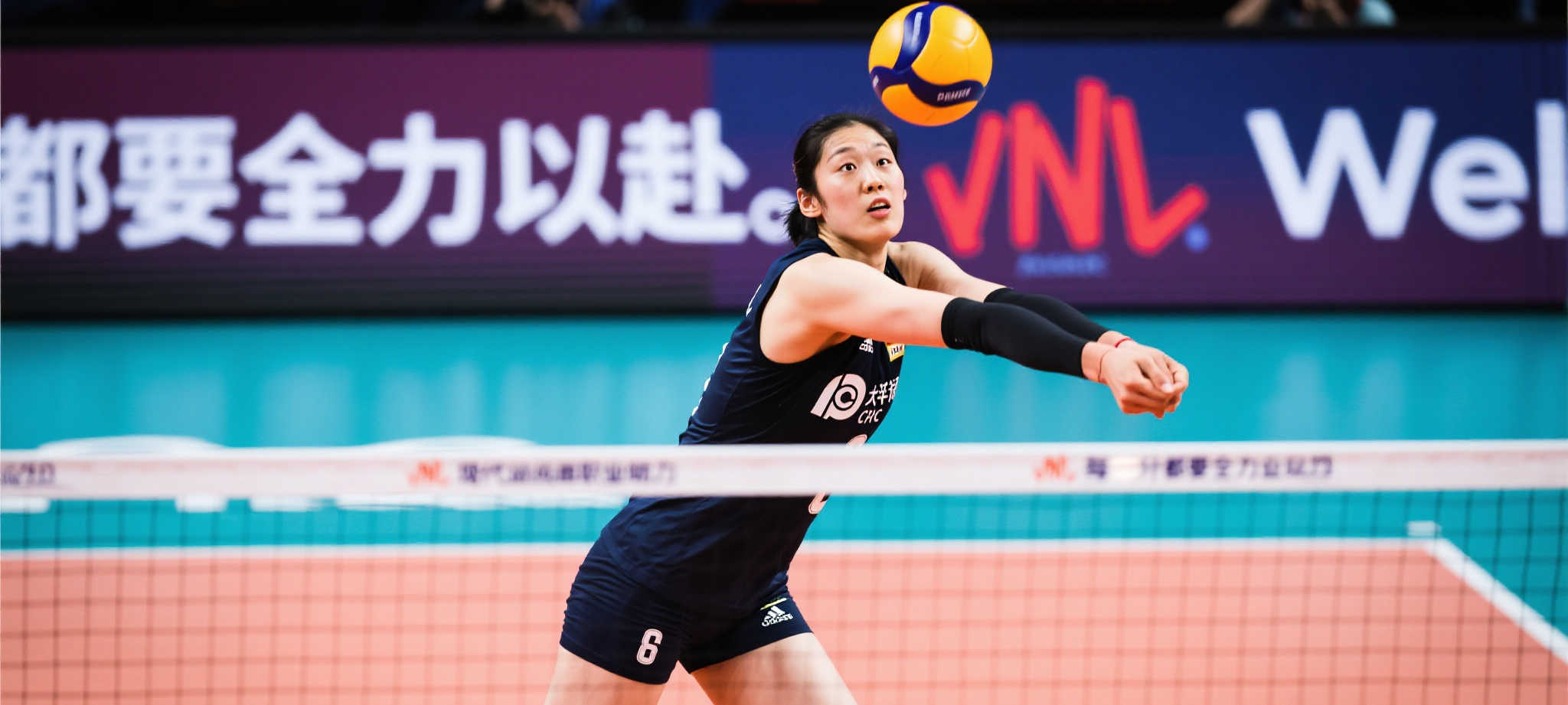 关于leisu雷速体育